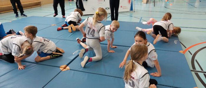 Ringen und Raufen, bei der Sportart Ringen